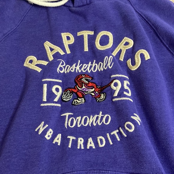 Embroidered Raptors Hoodie - Picture 2 of 6